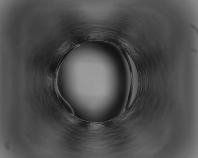 X0000093090333200710171143