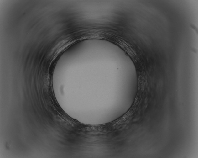 X0000093090338200710171143