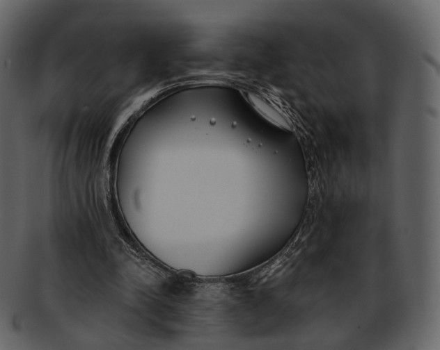 X0000093090342200710171143