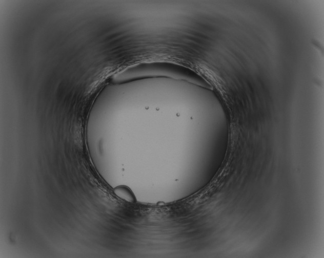 X0000093090345200710171143