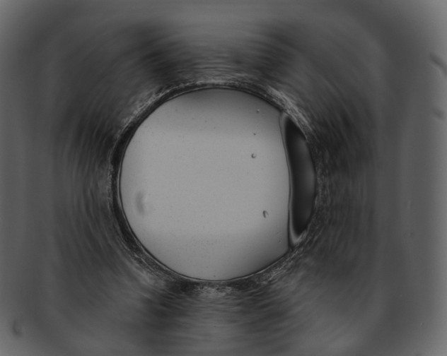 X0000093090346200710171143