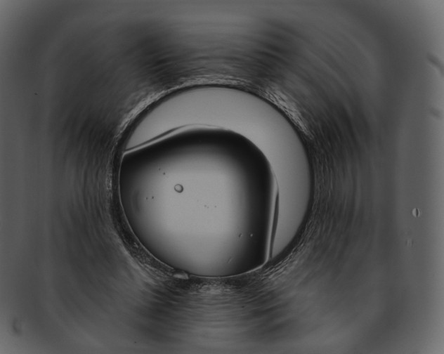X0000093090348200710171143