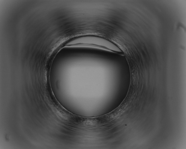 X0000093090350200710171143