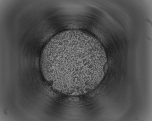 X0000093090353200710171143