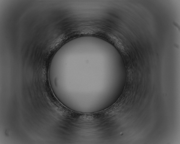 X0000093090354200710171143