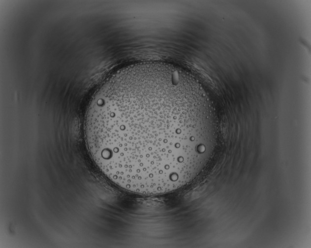 X0000093090359200710171143