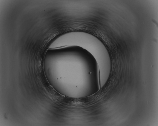 X0000093090360200710171143