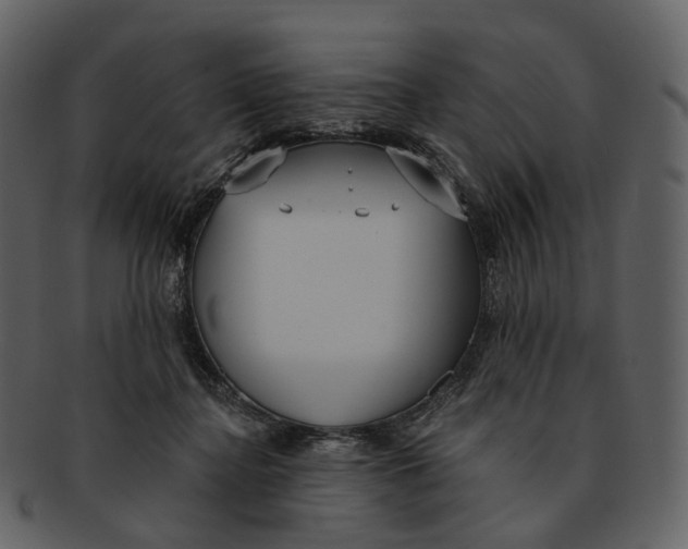 X0000093090364200710171143
