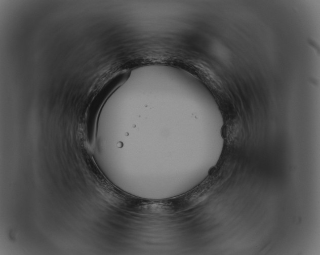 X0000093090365200710171143
