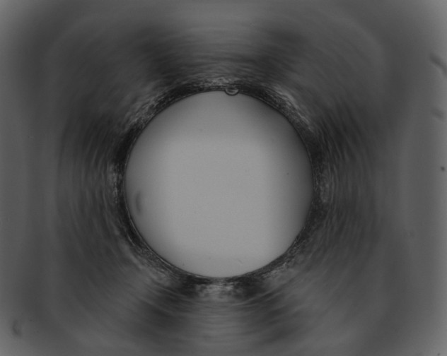 X0000093090366200710171143