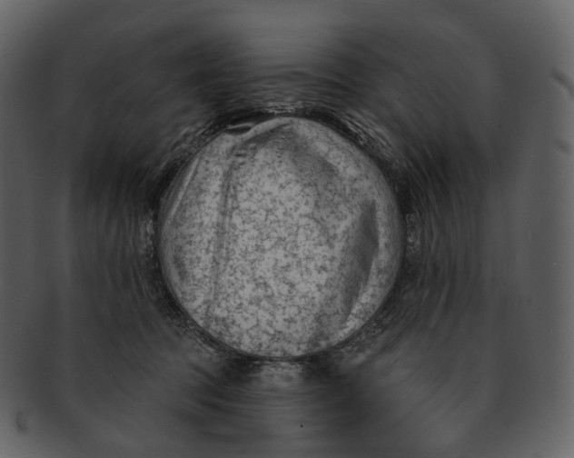 X0000093090369200710171143