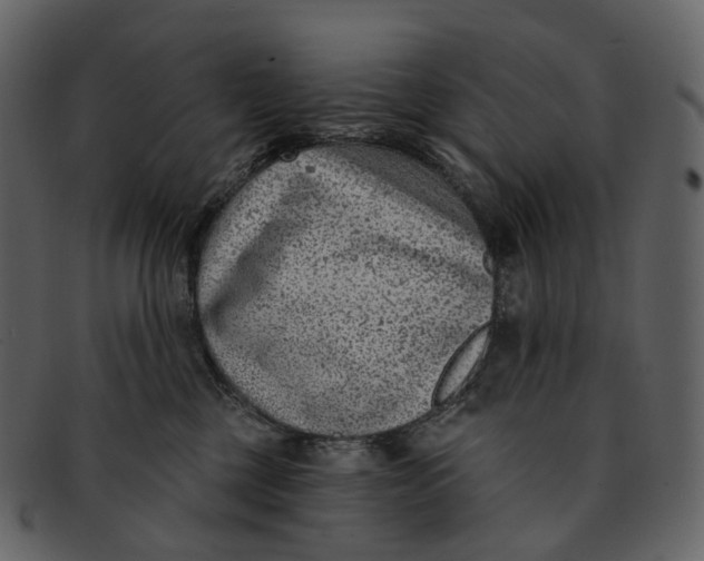 X0000093090377200710171143
