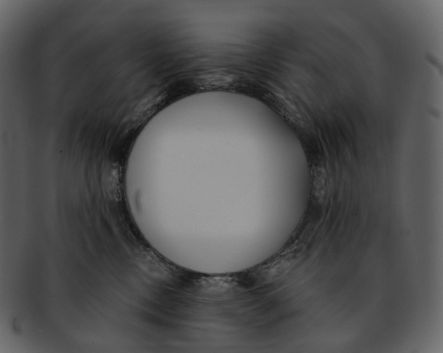 X0000093090378200710171143