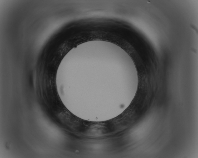X0000093090382200710171143