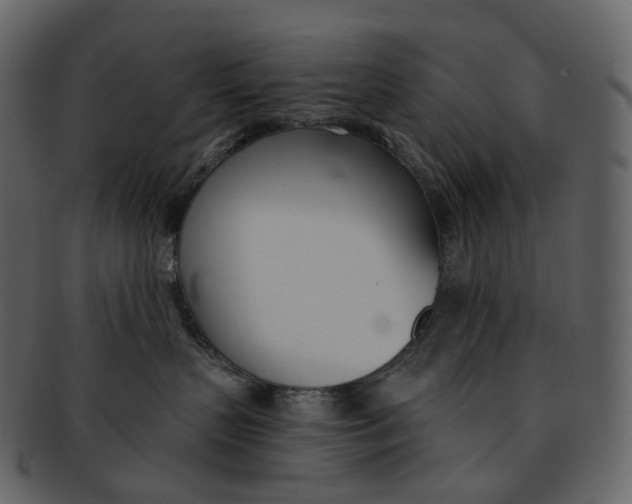 X0000093090383200710171143