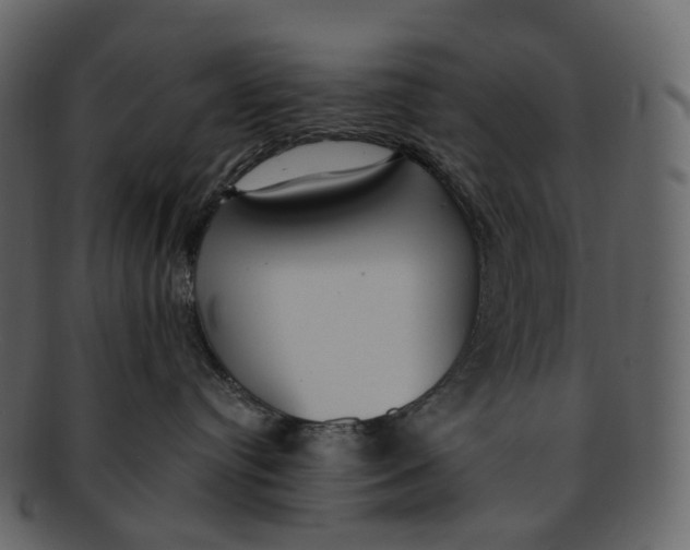 X0000093090384200710171143