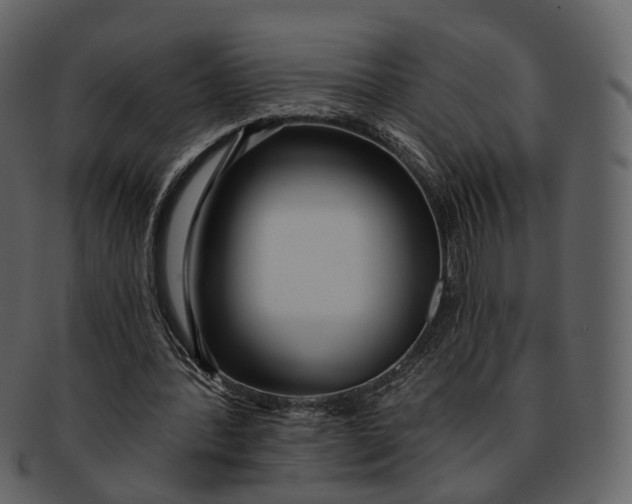 X0000093090388200710171143