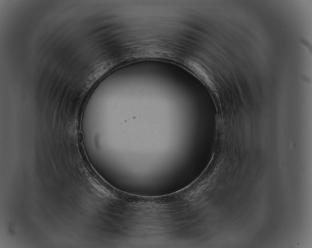 X0000093090389200710171143