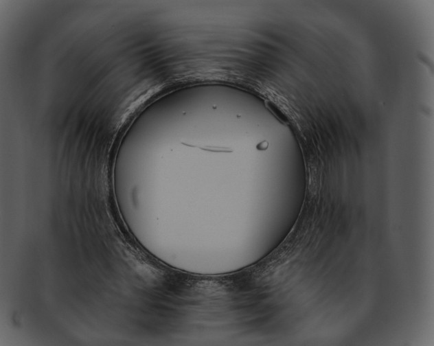 X0000093090390200710171143