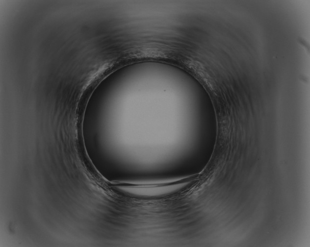X0000093090395200710171142