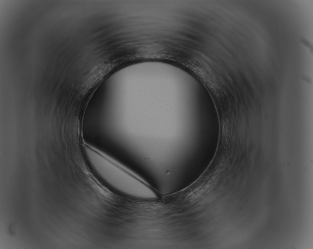 X0000093090397200710171142