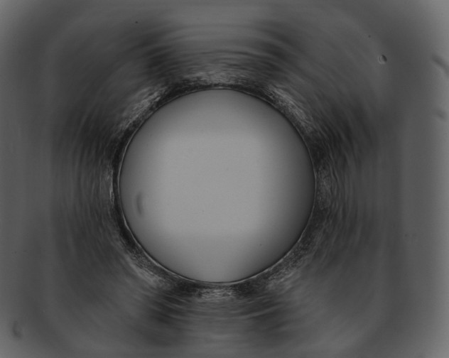 X0000093090398200710171142