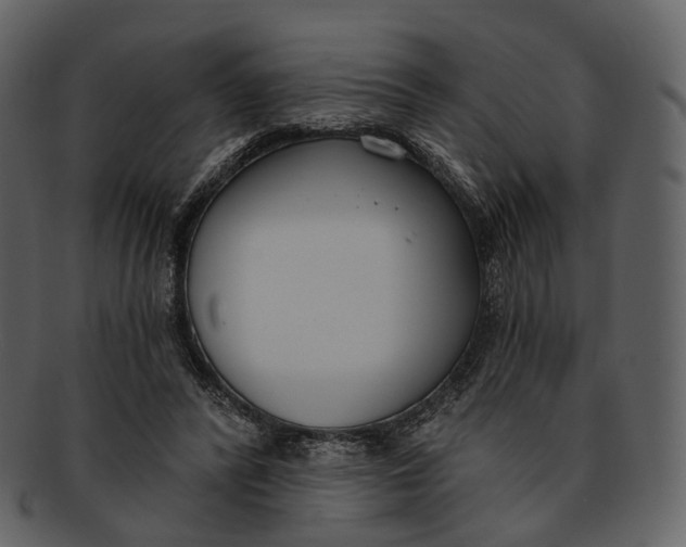 X0000093090400200710171142