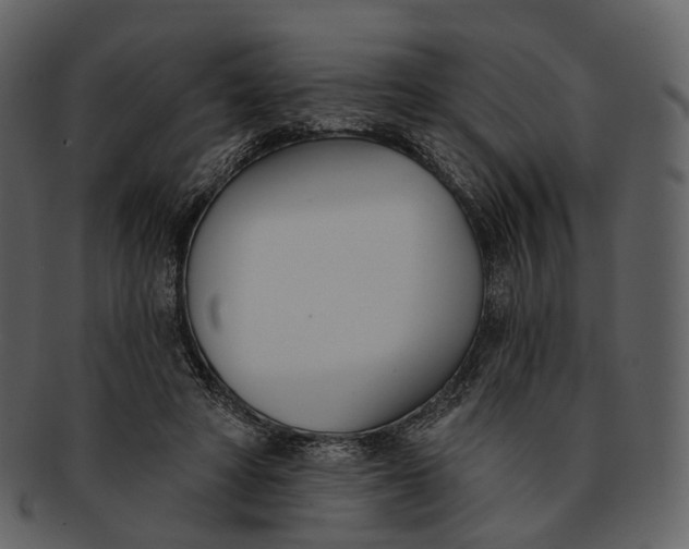 X0000093090402200710171142
