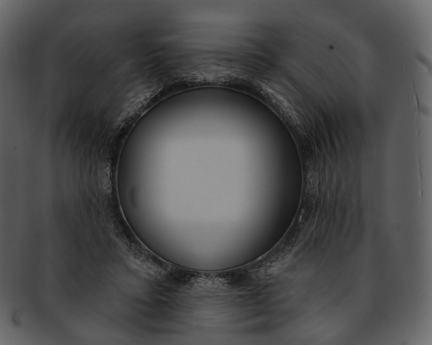 X0000093090403200710171142