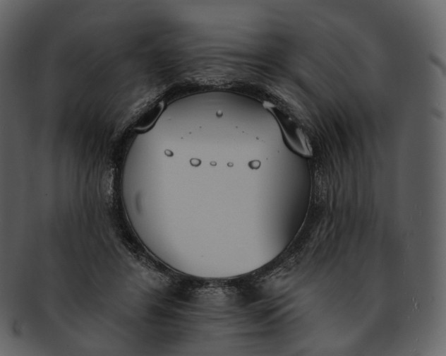 X0000093090404200710171142