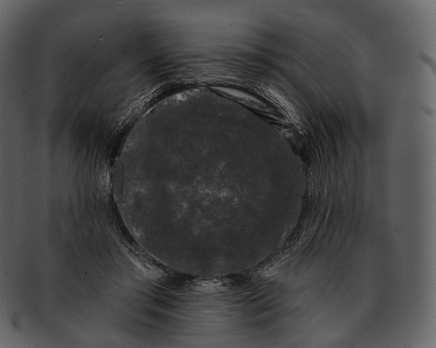 X0000093090405200710171142