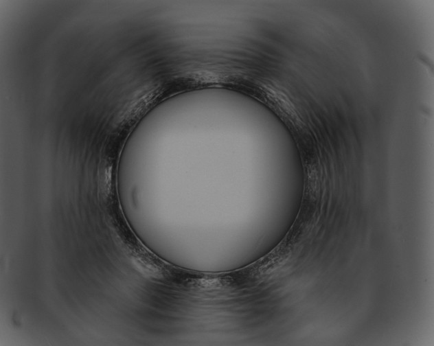 X0000093090406200710171142