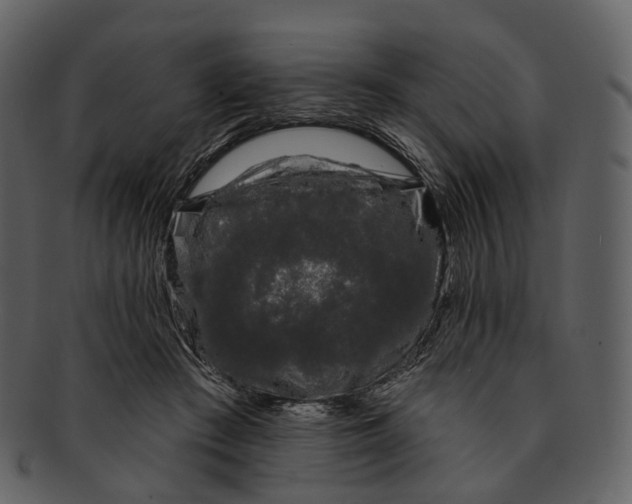 X0000093090409200710171142