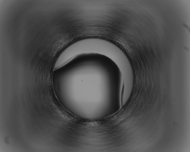 X0000093090411200710171142