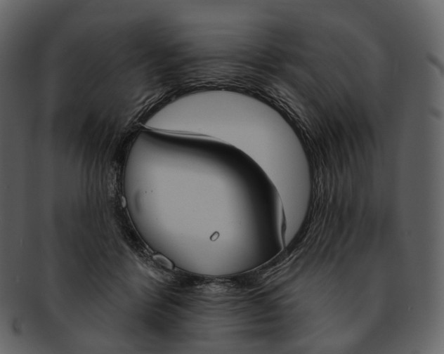 X0000093090412200710171142