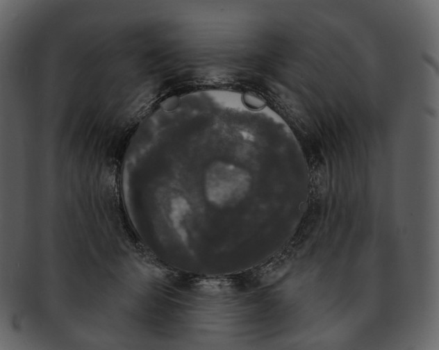 X0000093090415200710171142
