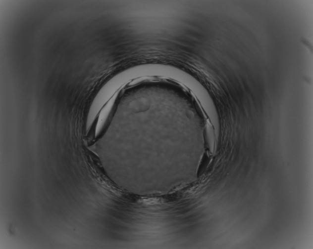 X0000093090417200710171142