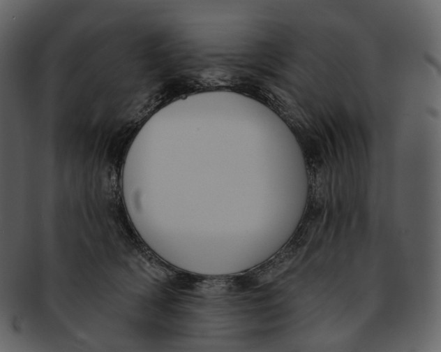 X0000093090418200710171142