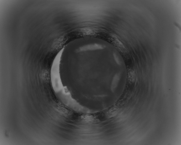 X0000093090419200710171142
