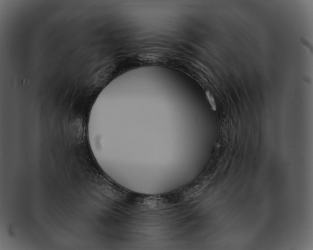 X0000093090420200710171142