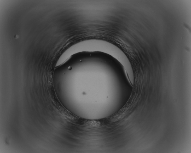 X0000093090421200710171142