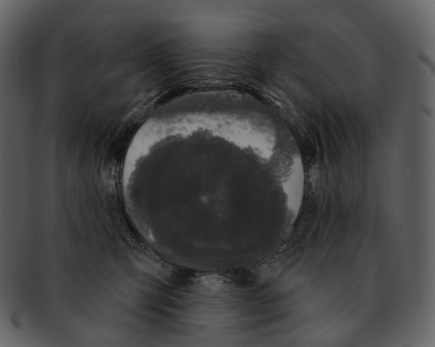 X0000093090423200710171142