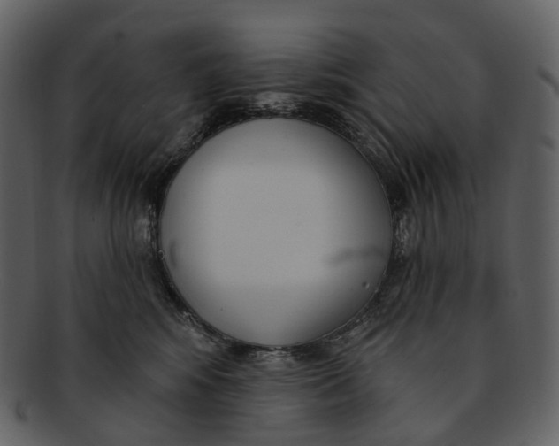 X0000093090424200710171142