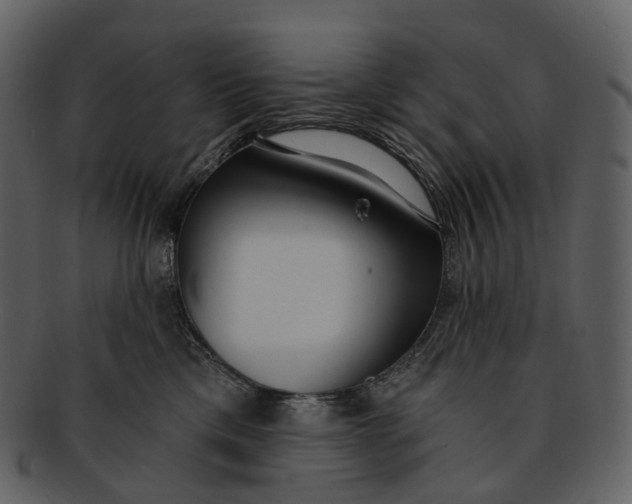X0000093090425200710171142