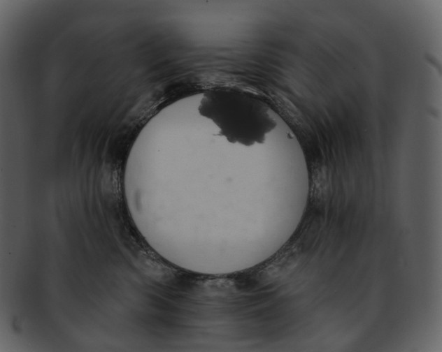 X0000093090426200710171142