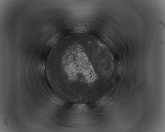X0000093090427200710171142