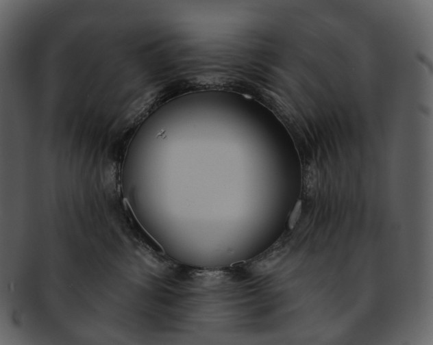 X0000093090428200710171142