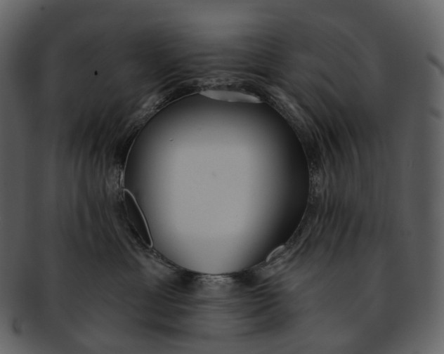 X0000093090429200710171142