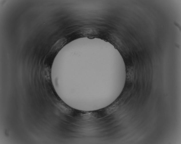 X0000093090430200710171142