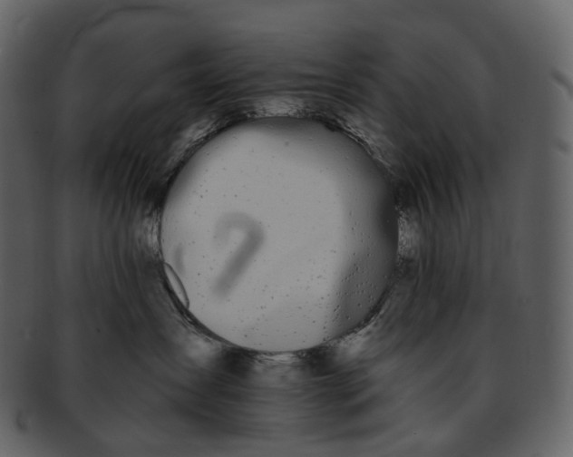 X0000093090431200710171142